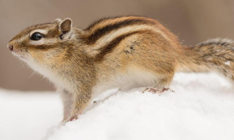 四川嘉裕福華商貿有限公司輪播圖3