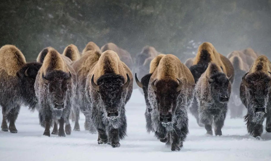 四川嘉裕福華商貿有限公司輪播圖2