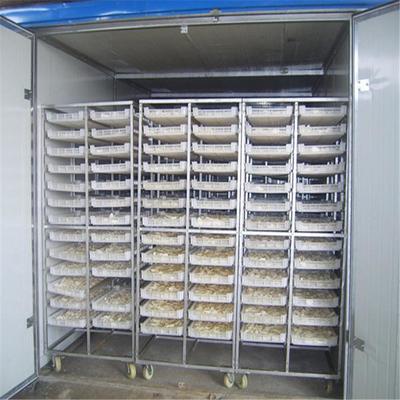 熱風(fēng)循環(huán)烘干箱 農(nóng)產(chǎn)品深加工的得力助手